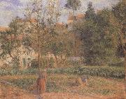 Camille Pissarro Vegetable Garden at the Hermitage near Pontoise oil on canvas